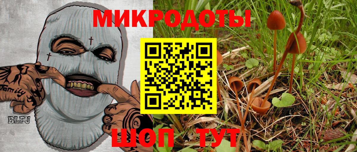 Галлюциногенные грибы Cubensis Новосибирск