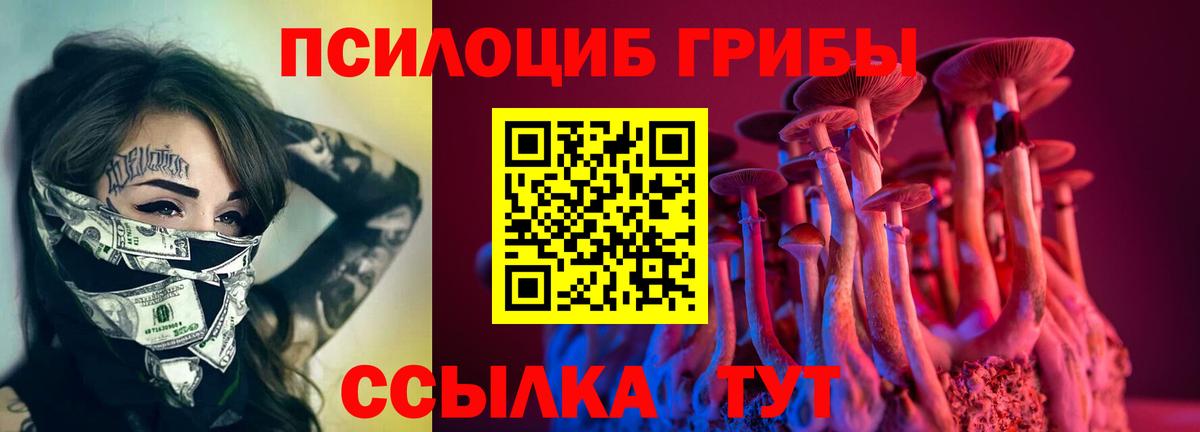 Новосибирск  Псилоцибиновые грибы Cubensis  Вход с VPN 