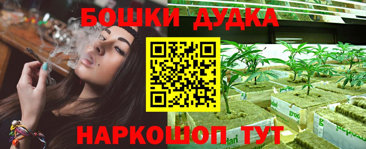 Шишки марихуана LSD WEED  Вход с VPN  Конопля сатива  Шишки марихуана план  Новосибирск 